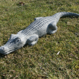 Krokodil-klein-1
